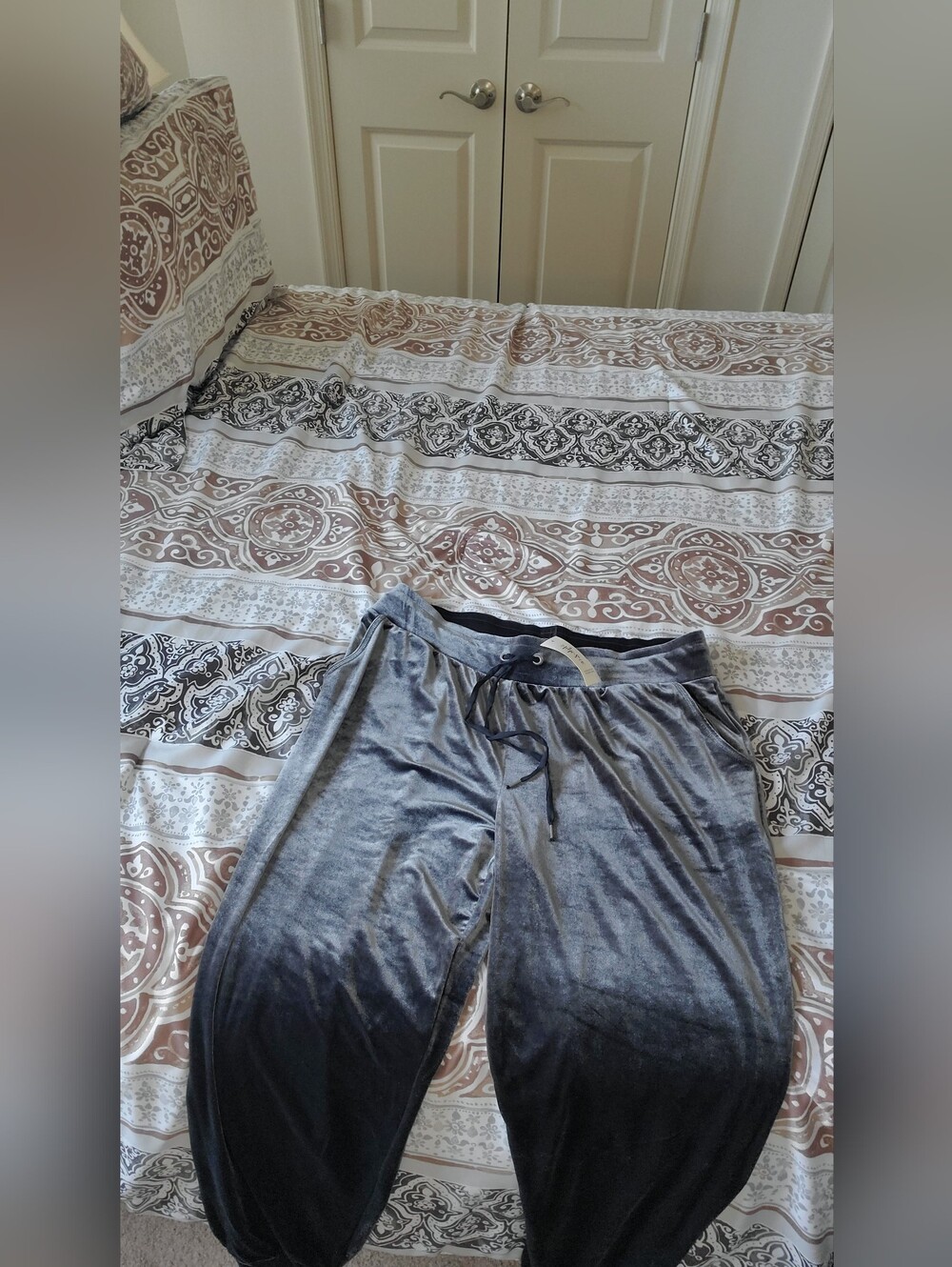 Style & Co. Gray Velour Jogger Pants